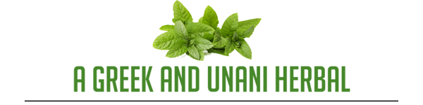 A Greek and Unani Herbal