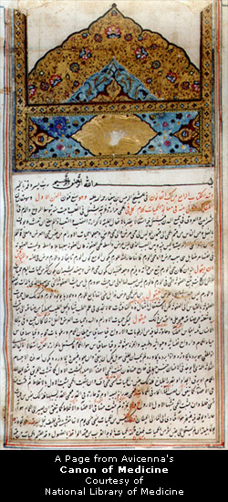 Canon of Medicine