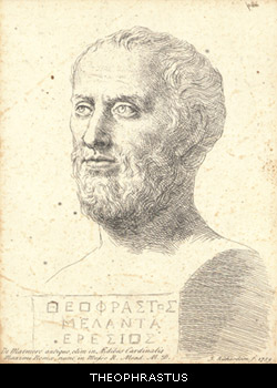 Theophrastus